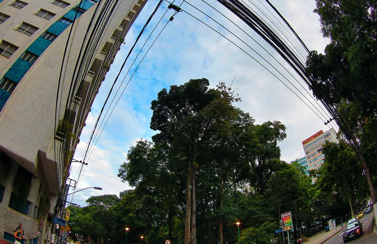 Chuva deve dar trégua no fim de semana em JF e região 1 tempo interna Fernando Priamo