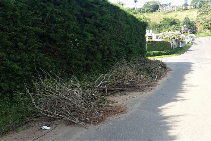 Leitor solicita retirada de entulho em via 1 VU 2904