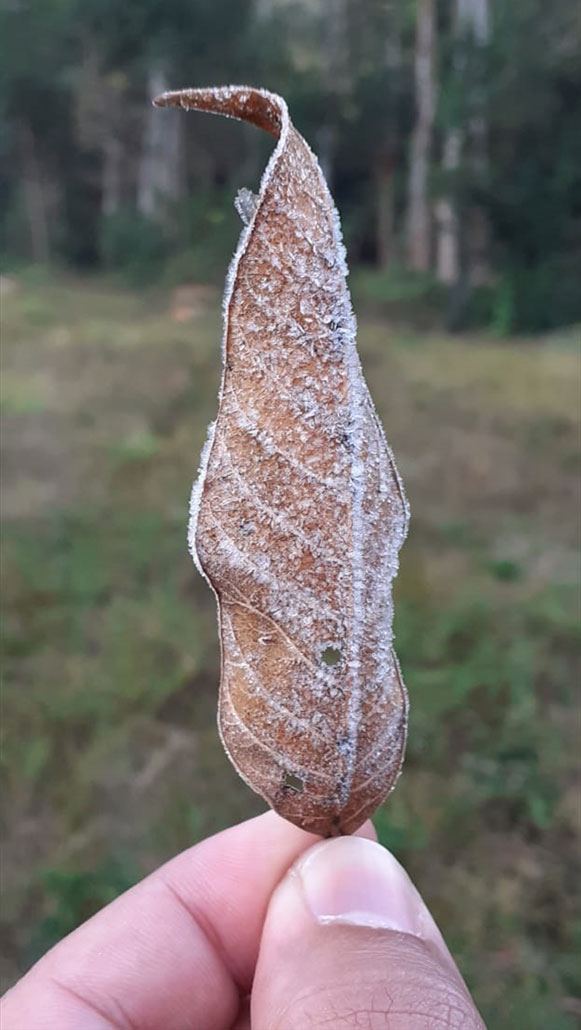 ibitipoca1 ibitipoca1