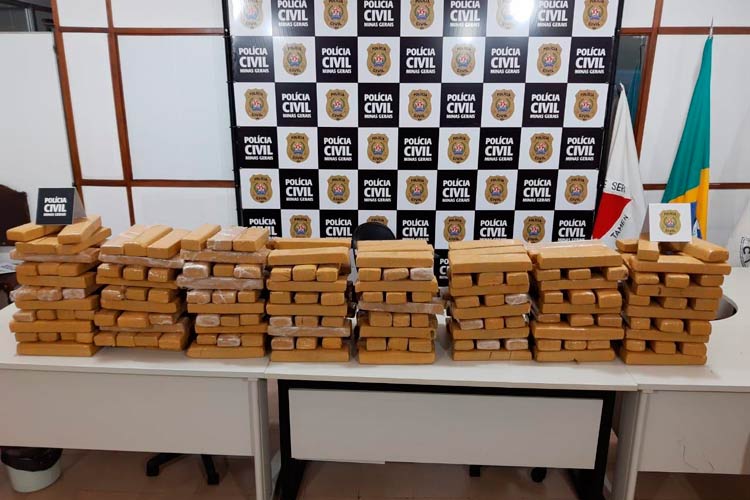 Polícia Civil apreende 200kg de maconha enterrados em sítio 1 maconha2 policia civil