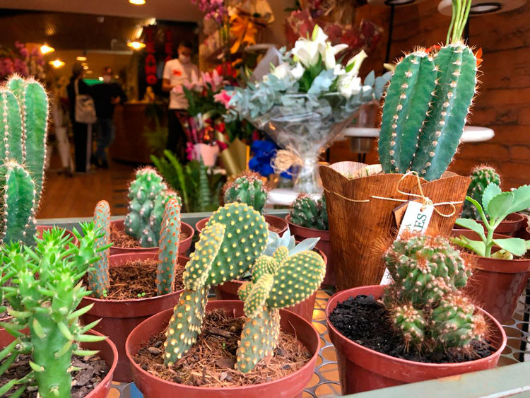 Mais lojas abrem no Centro de JF com início da onda branca 1 Dois amores floricultura
