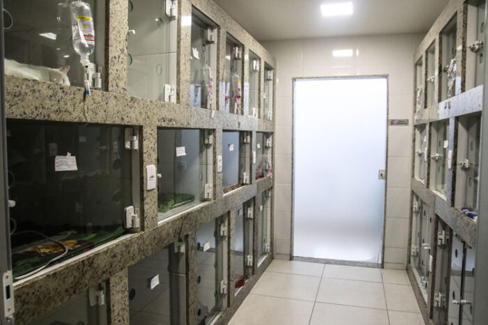 Hospital Santa Luzia 2