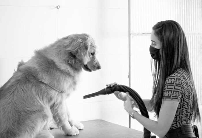 Special Dog Eduarda Xavier