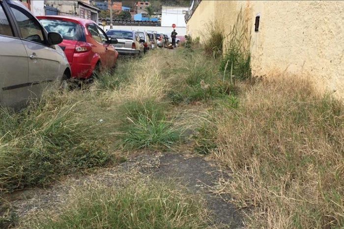 Mato alto em calçada da região central 1 vu 0707