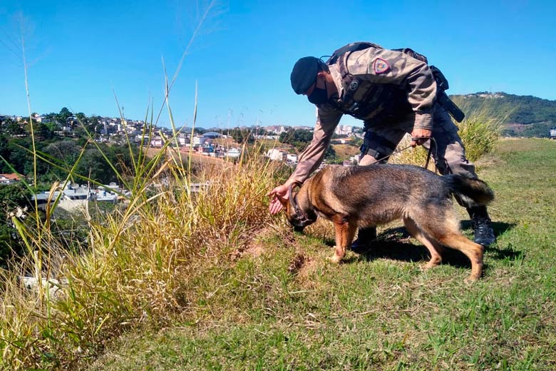 Cadela policial Kiara se aposenta e já está em sua nova casa 2 5 Kiara cadela PM