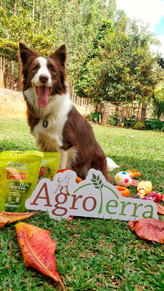 Agroterra: Nova loja com mais produtos e serviços para seu pet 2 Maia