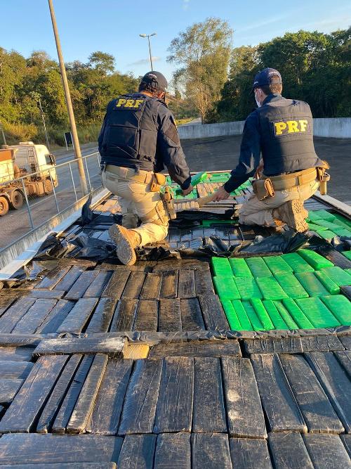 PRF apreende quase 700 quilos de maconha na BR-267 1 maconha prf divulgação