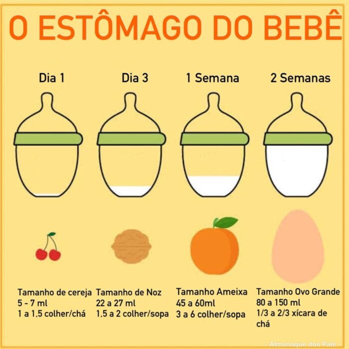 Guia de aleitamento materno para gestantes 4 tamanho do estomago do bebe 1