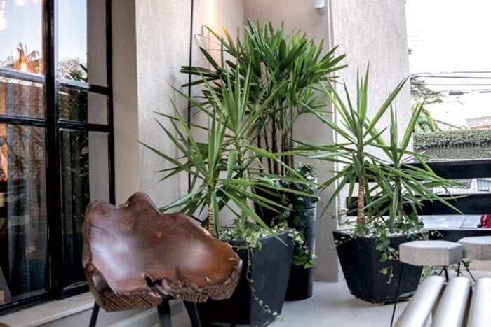 ALETHEIA conjunto de plantas
