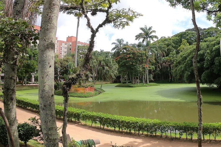 museu destacada