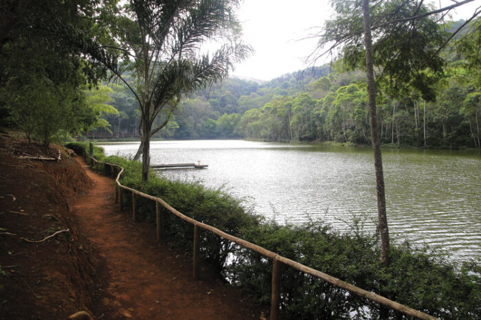 Roteiro fernando priamo 12
