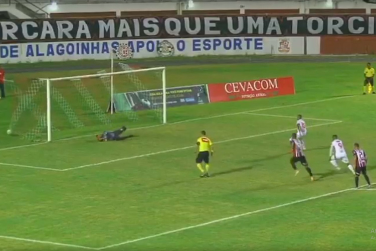 baeta reproduçãoo