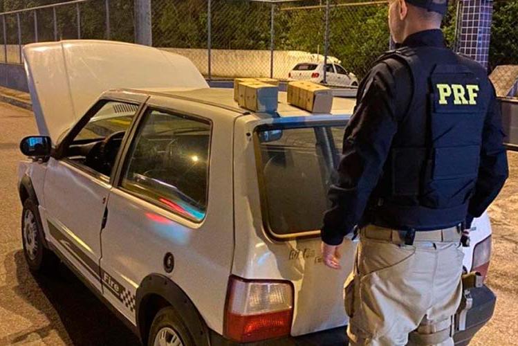 Jovem é flagrado transportando pássaros silvestres na BR-040 1 pássaros silvestres divulgação prf