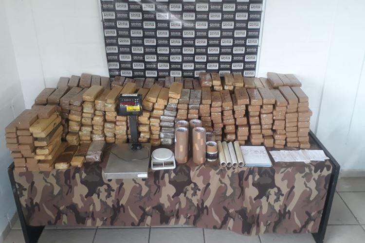 tabletes maconha divulgação pm
