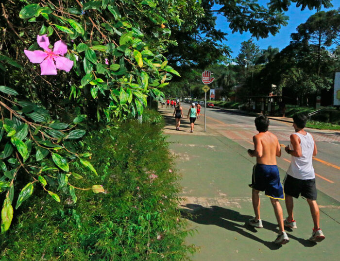 UFJF é recomendada para caminhar e correr em Juiz de Fora