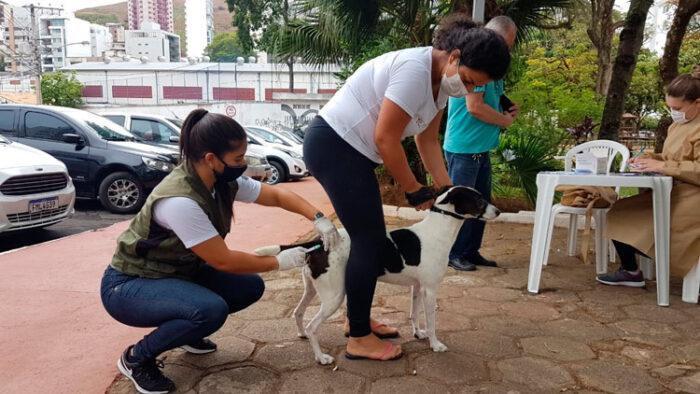 Juiz-foranos vão às ruas vacinar cães e gatos neste sábado 1 vacinar