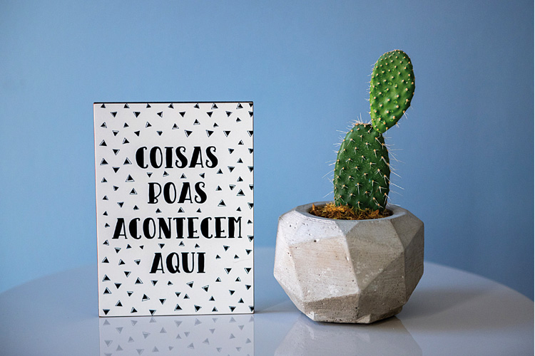 casa6 casa6