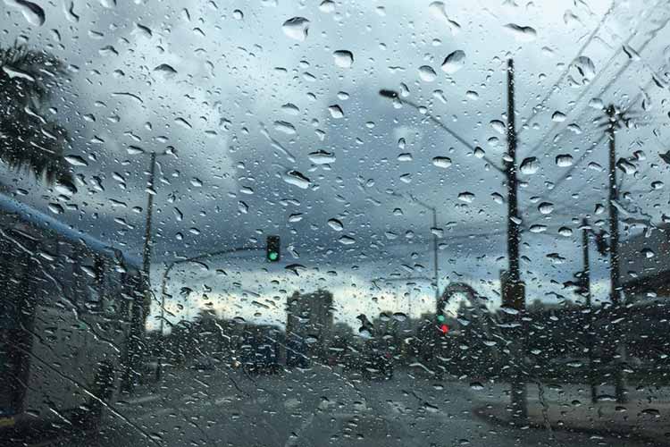 chuva by fernando