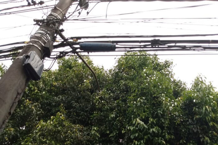 Galhos de árvore cobrem poste de luz 1 vu 1011