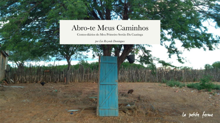 CAPA ABRO TE 24nov scaled e1608226401681
