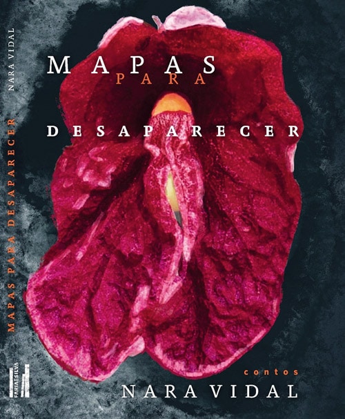 NARAVIDAL livro