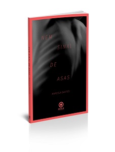 Um romance sobre uma existência quase inexistente 3 Nem Sinal de Asas 2 cópia