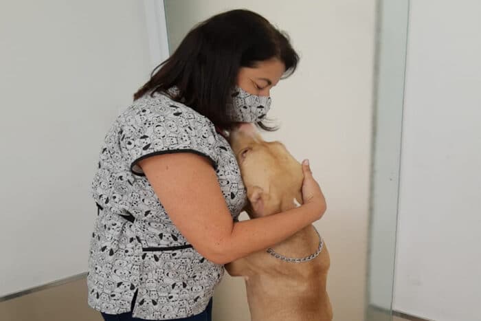 Cachorro é resgatado depois de ser amarrado e espancado na Zona Norte 1 Sem Título 2