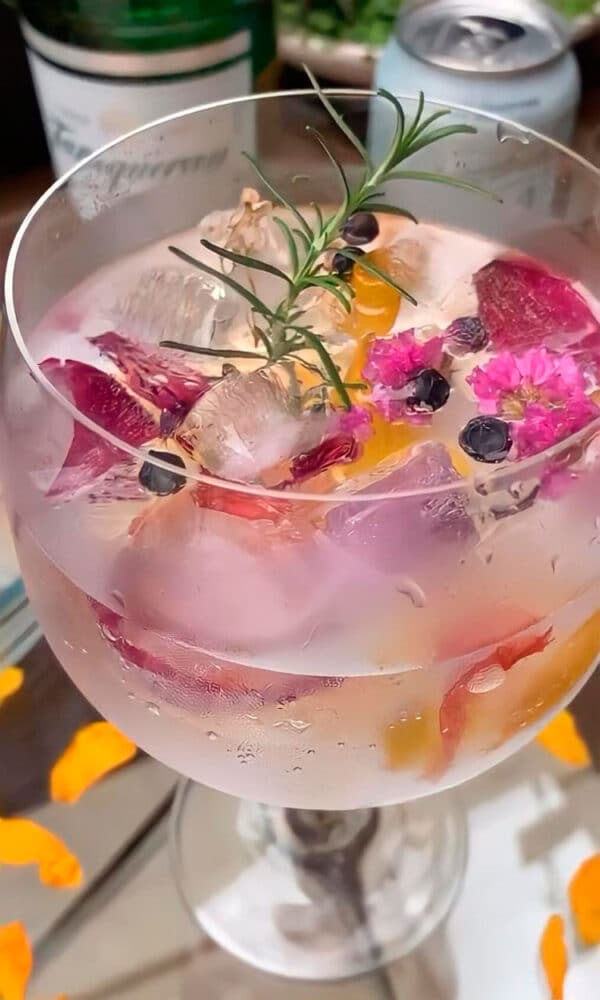 6 drinks para fazer nas festas de fim de ano 5 gin tonica 2