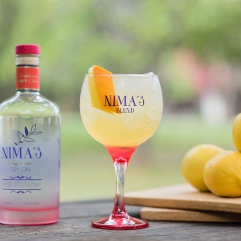 Gin Tônica Citricos 2 TM