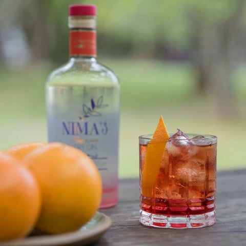 Negroni 1 TM