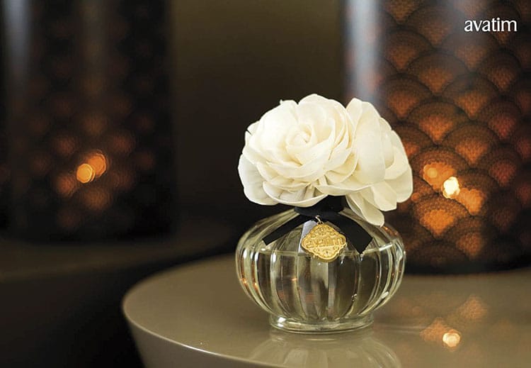 Os aromas podem transformar os dias 3 aroma patricia alvim 2