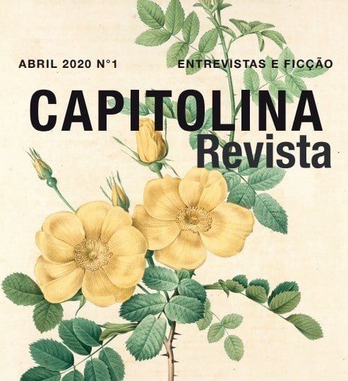 Escritora Nara Vidal é premiada por divulgação da literatura brasileira no exterior 1 capitolina01