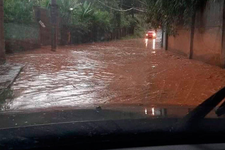 Volume de chuvas em JF já passa da metade do esperado para o mês 6 graminha by sem credito