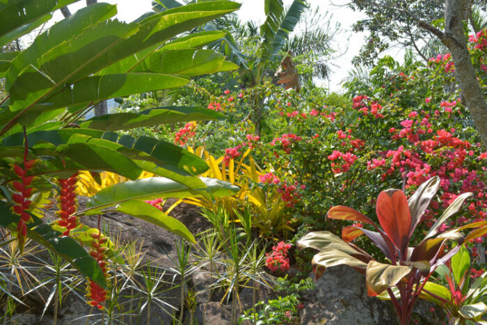 jardim salvaterra alex badim