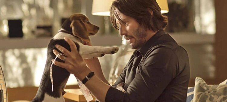 Dicas para curtir o cinema (ainda) em casa 11 john wick e1610385516612