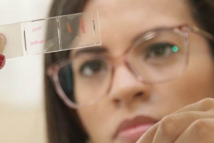 Pesquisadores da UFJF descobrem composto cicatrizante à base de embaúba 1 pesquisadora ufjf