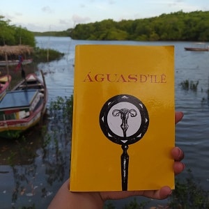 “O racismo não dorme, é um dos sistemas mais sofisticados do mundo”, afirma Cristiane Sobral 3 Capa do livro Águas dilê foto de Joseane Cantanhede