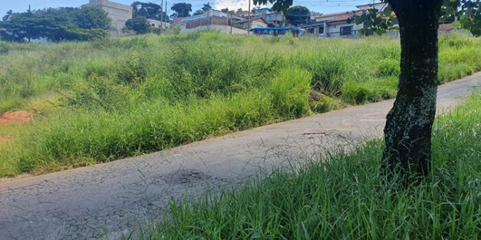 Morador do Parque Guaruá denuncia mato alto 1 vu 0302