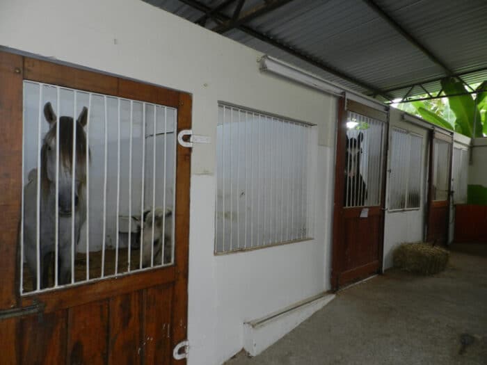 Conheça hospital veterinário 24h em JF 5 Hospital Veterinário
