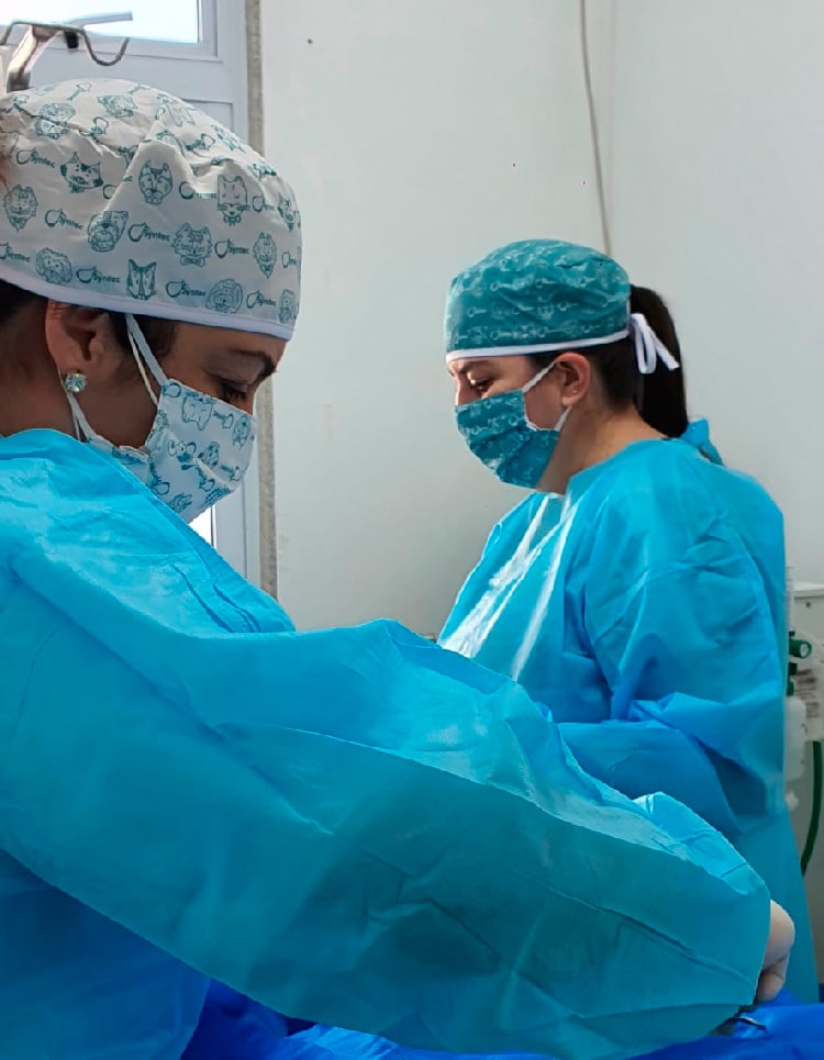 cirurgia cirurgia