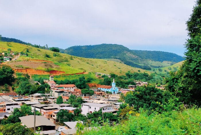 Dona Euzébia: Produção de mudas é destaque nacional 1 Dona Euzébia