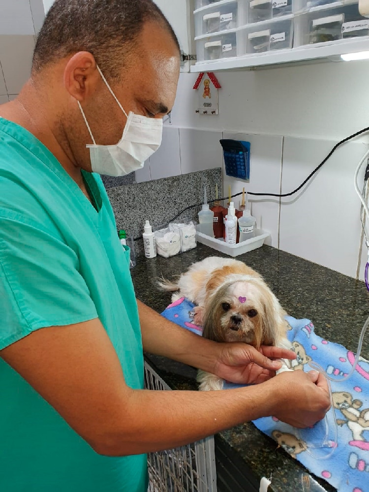 vet vet
