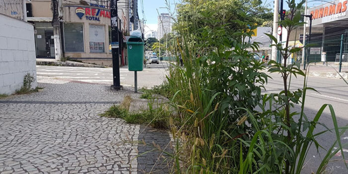 Falta de capina em calçada da Avenida Rio Branco 1 vu 0203