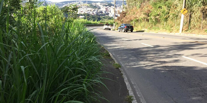 Matagal em via de acesso à Cidade Alta 1 vu 2004