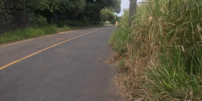Matagal invade pista no Novo Horizonte 1 vu 2804