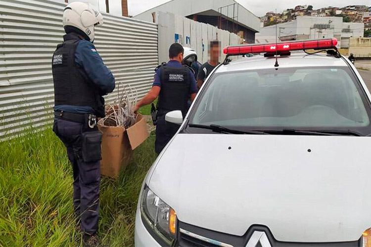 Homem é flagrado furtando fiação no Hospital Regional 1 hospital regional guarda municipal