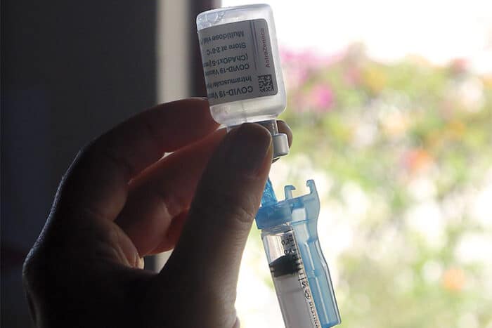 Veterinários reivindicam prioridade na vacinação contra a Covid-19 1 veterinários vacinação