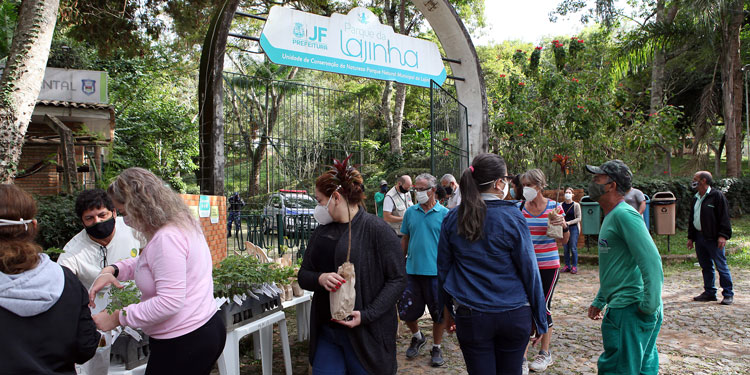 Dia Mundial do Meio Ambiente: cerca de 300 mudas distribuídas sábado em JF 3 Distr mudas fernando priamo 5 tratada