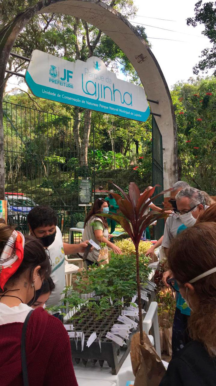Dia Mundial do Meio Ambiente: cerca de 300 mudas distribuídas sábado em JF 1 Dia Mundial do Meio Ambiente