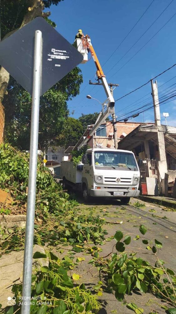 Galhos de árvore tomam calçada no Marumbi 1 vu18.06